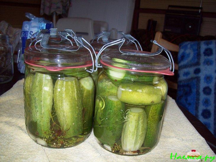 Вкусные солёные огурчики