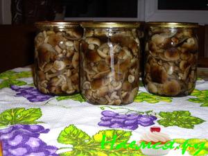 "Маринованные опята от мамы"