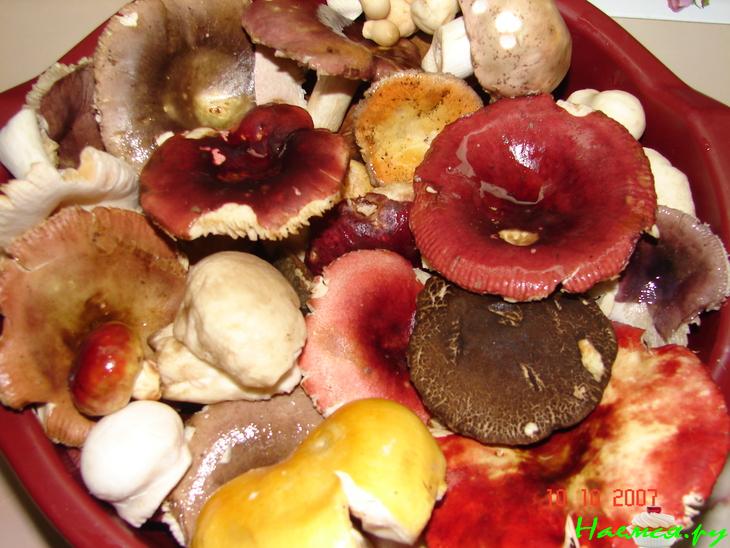 Маринованные опята