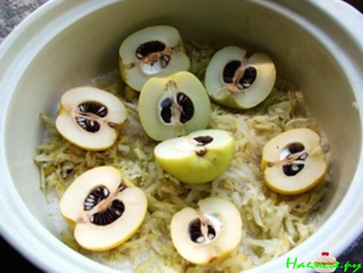 Песнь хеномелеса Песнь хеномелеса