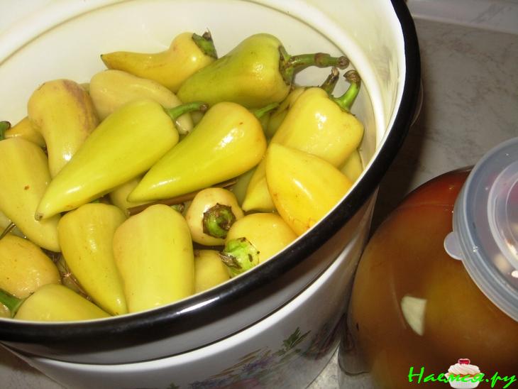 Квашеные перцы  