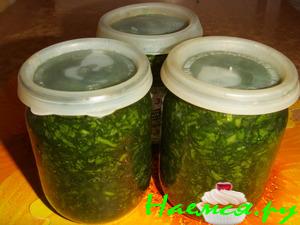 Щавель - заготовка на зиму