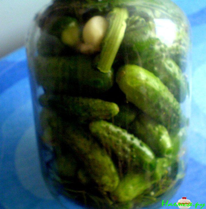 Огурцы для всей семьи 