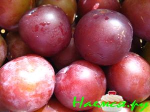 Маринованные сливы с чесноком Маринованные сливы с чесноком