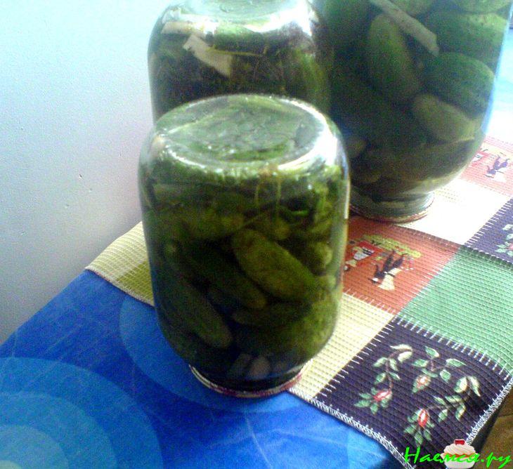 Огурцы для всей семьи 