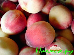 Варенье из персиков круглый год