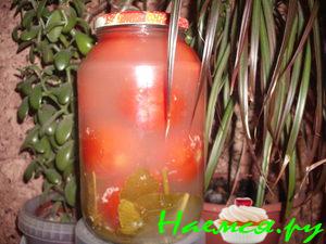 Помидоры в снегу Помидоры в снегу