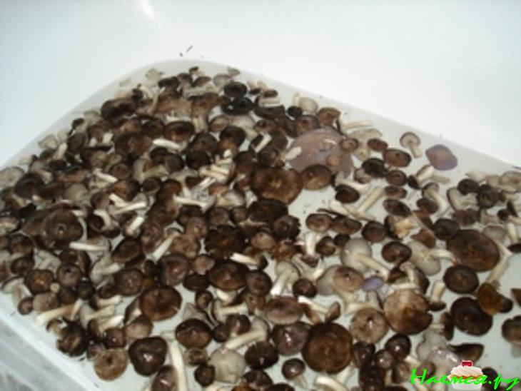 Маринованные грибы в кисло-сладкой заливке Маринованные грибы в кисло-сладкой заливке