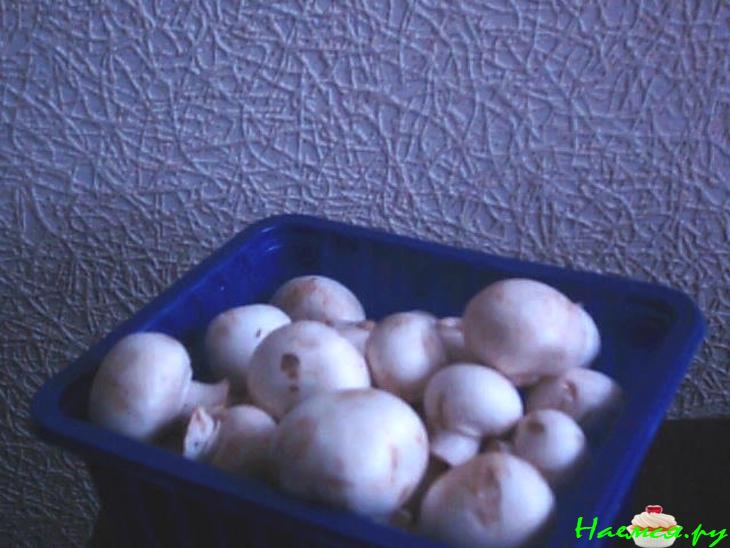 Отварные шампиньоны маринованные Отварные шампиньоны маринованные