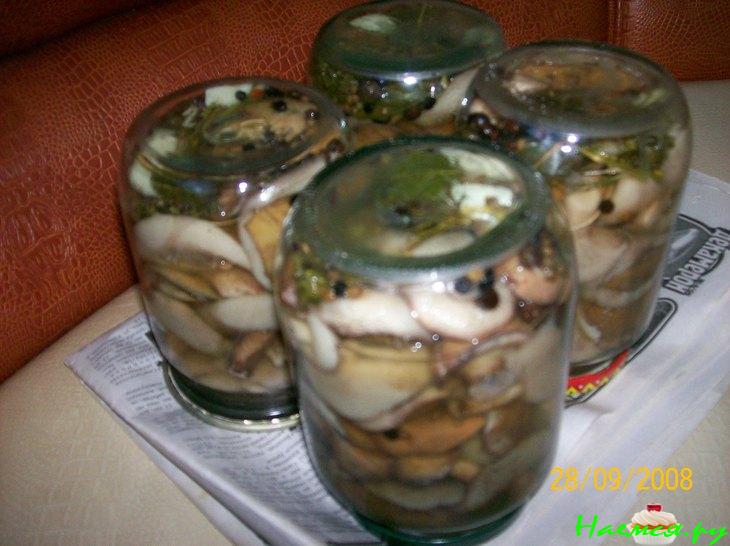 Грибок - в погребок (маринованные маслята)