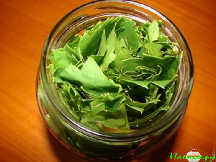 Заготовка для долмы (без воды)