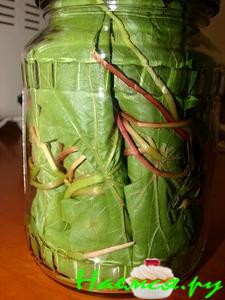 Заготовка для долмы (без воды)