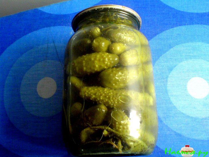 Огурцы для всей семьи 