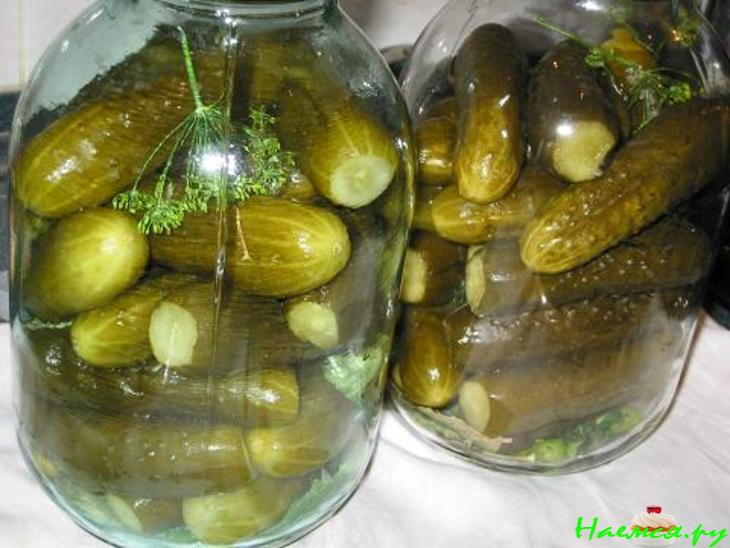 Огурцы соленые консервированные