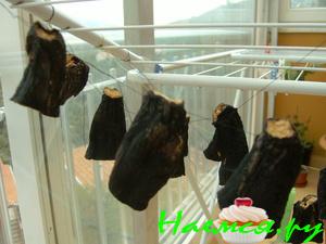 Сушеные баклажаны Сушеные баклажаны