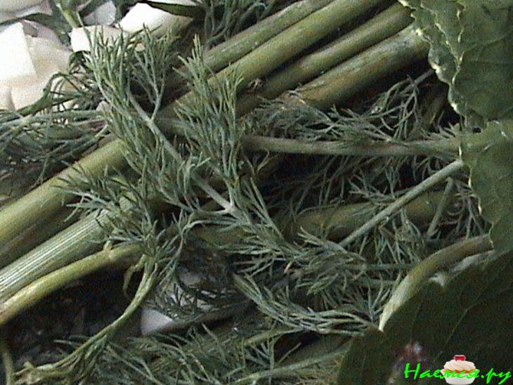 Малосольные огурчики с хреном