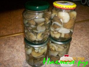 Грибок - в погребок (маринованные маслята)