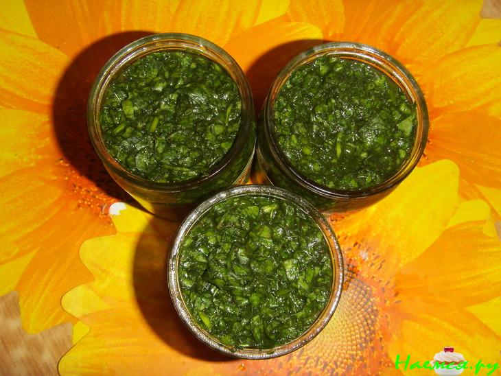 Щавель - заготовка на зиму