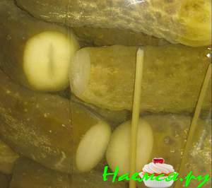 Маринованные огурцы малосольные Маринованные огурцы малосольные