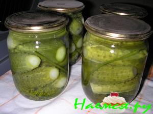 Огурцы маринованные с лаврушкой и укропом