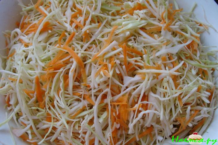 Капуста "Быстрая"