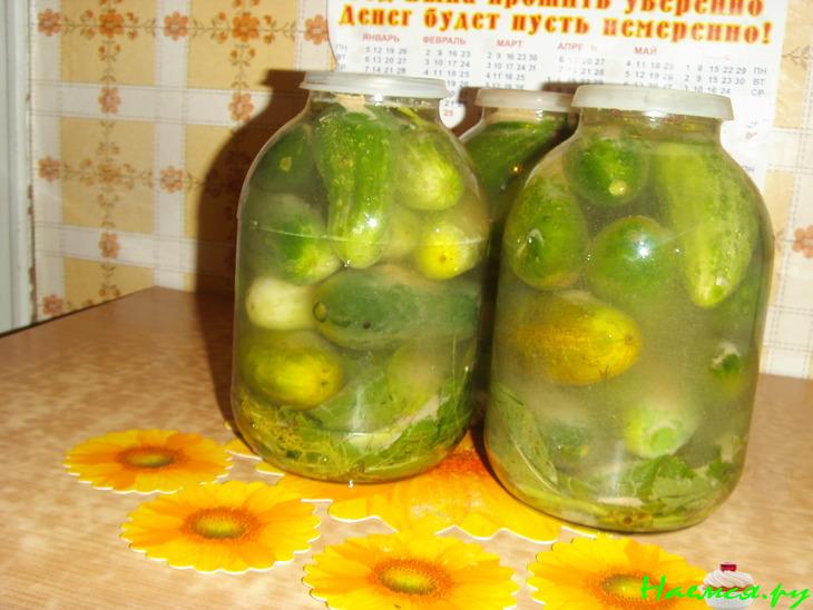 Огурцы соленые "Проще простого" (вариант)