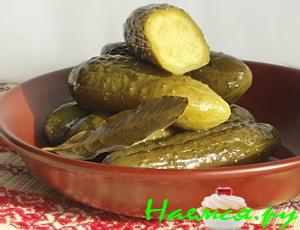 Огурчики "Болгарские" Огурчики "Болгарские"