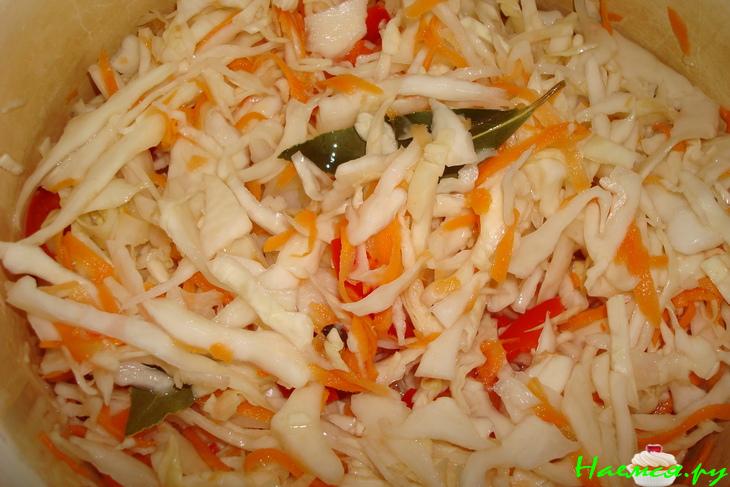 Капуста маринованная с перцем Капуста маринованная с перцем