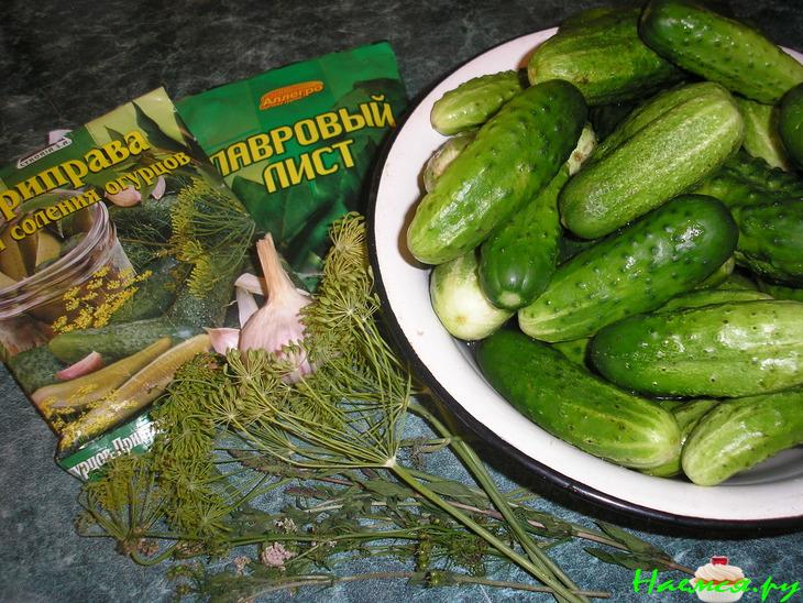 Солёные огурцы в банках