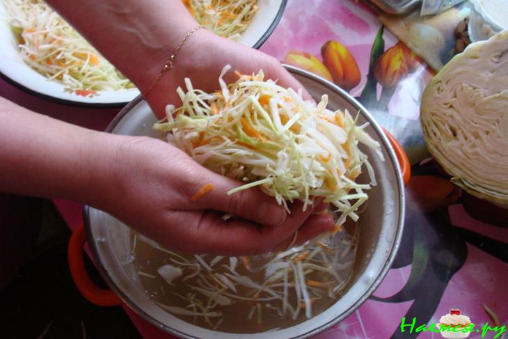 Капуста "Быстрая"