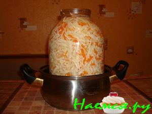 Квашенная капусточка Квашенная капусточка