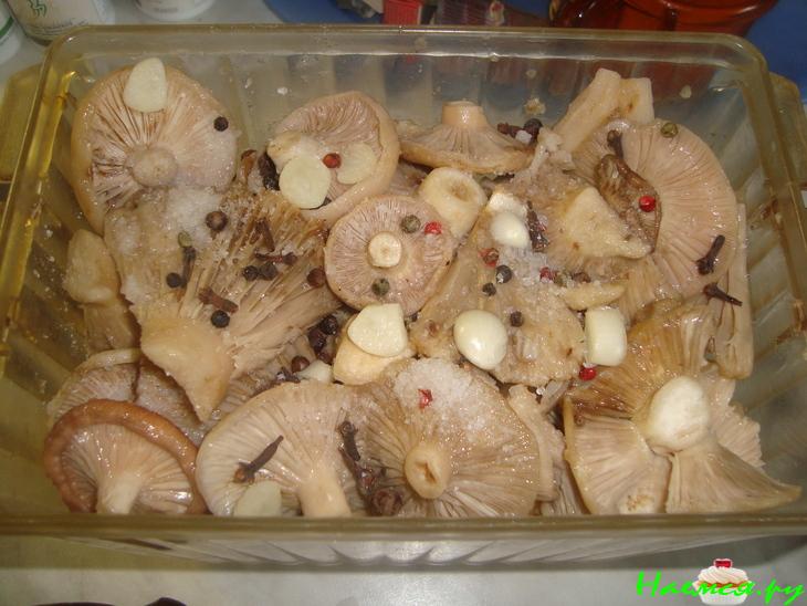 Засолка груздей Засолка груздей