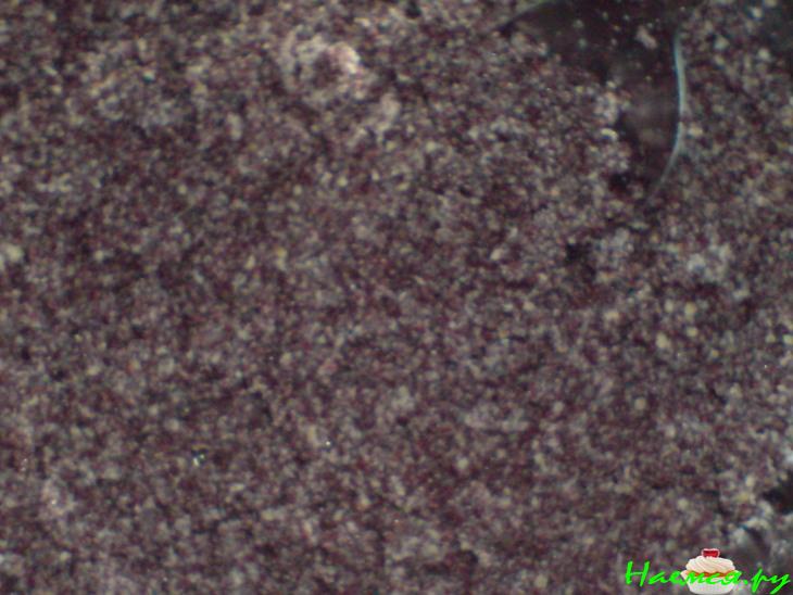 Налистники с творогом, маком и сушеной вишней