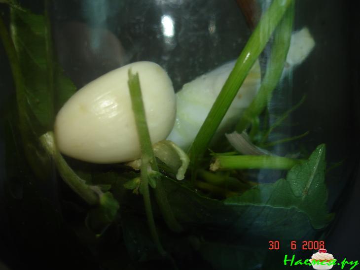 Маринованные огурцы малосольные Маринованные огурцы малосольные