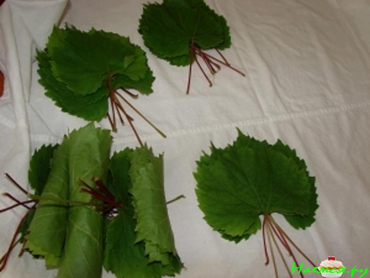 Заготовка для долмы (без воды)