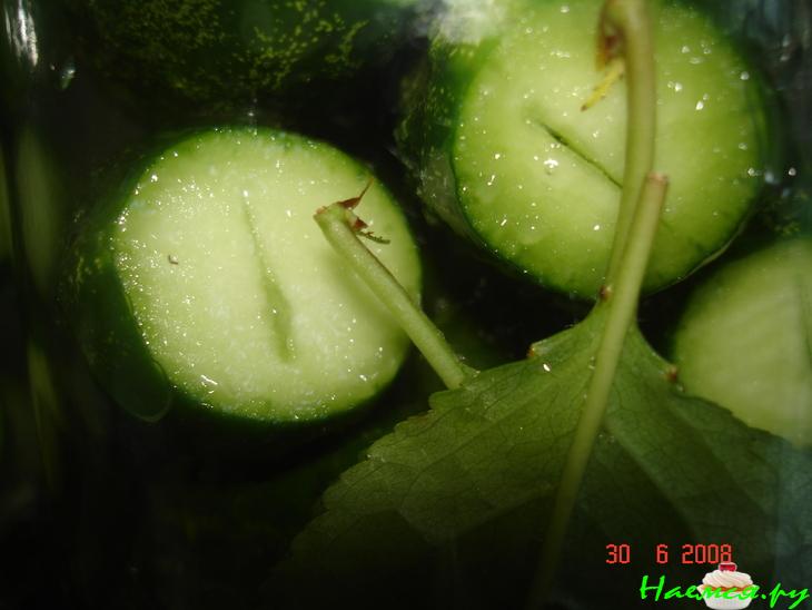 Маринованные огурцы малосольные Маринованные огурцы малосольные