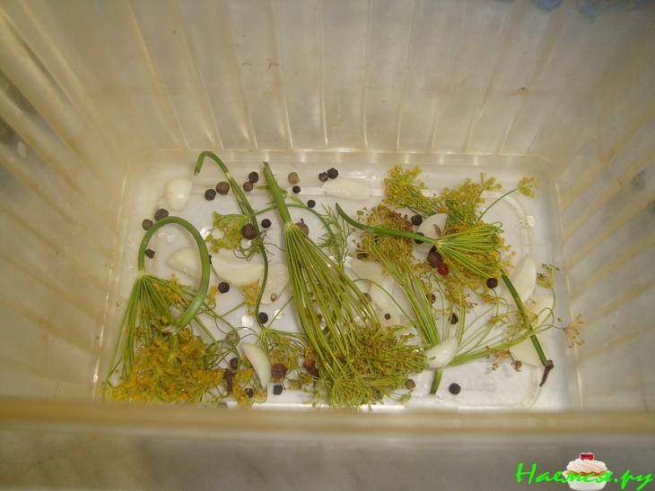 Засолка груздей Засолка груздей