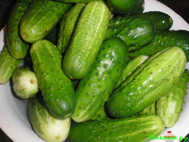Солёные огурцы в банках