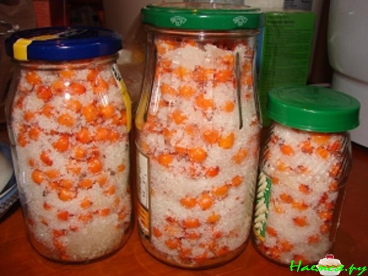 Витамины на зиму (облепиха и клюква)