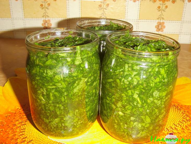 Щавель - заготовка на зиму