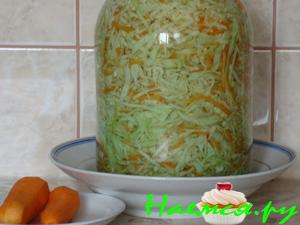 Соленая капуста с медом Соленая капуста с медом