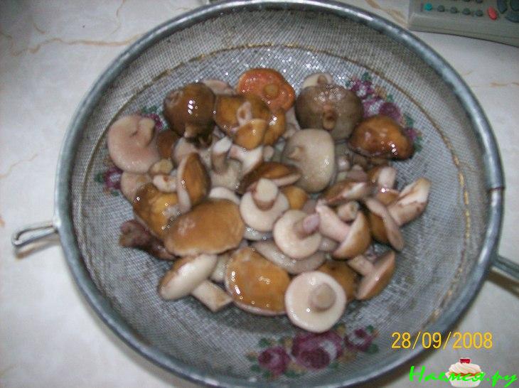 Грибок - в погребок (маринованные маслята)