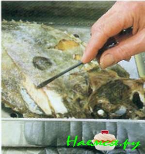 Солнечник, приготовленный на пару (4 порции)